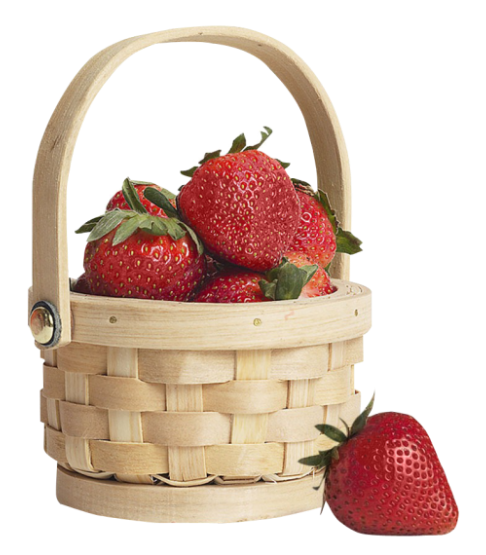fruit
